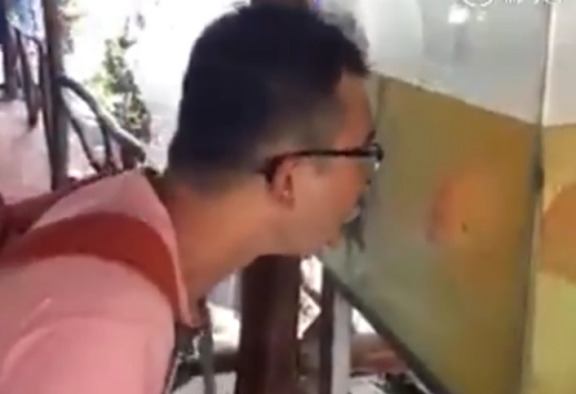 Kocak banget! Respon ikan lohan diledekin sama manusia