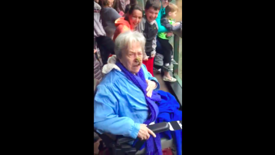 Ouch! Seorang nenek kena lemparan kotoran simpanse di kebun binatang