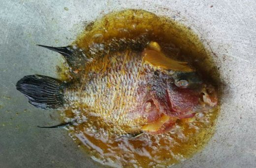 Seorang pemuda goreng dan makan ikan louhan peliharaannya sendiri lalu pamer di Facebook