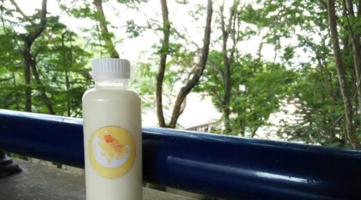 Pengen susu gak bikin gemuk? Cobain deh susu kacang tanah buatan mahasiswa UGM