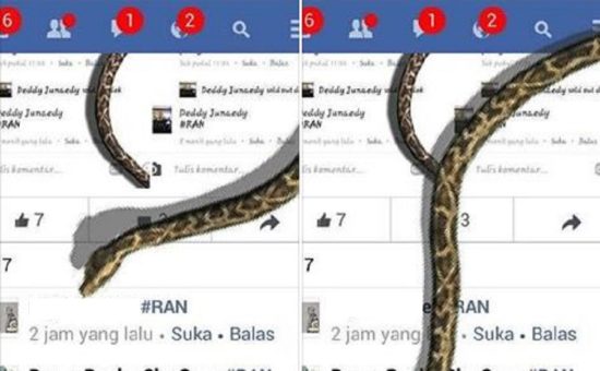 Awas ketipu sama tren ular #ran di Facebook, kamu cuma dikerjain doang!
