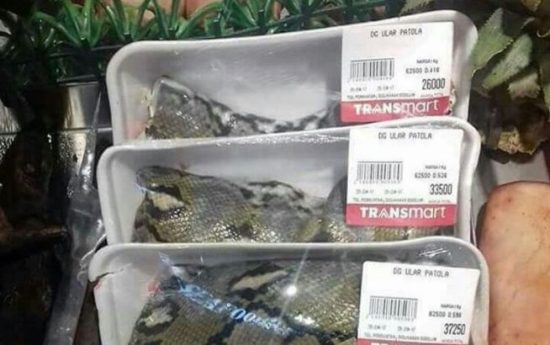 Heboh Transmart Manado jual daging ular phyton, biadab atau biasa saja seperti konsumsi daging ayam dan sapi?
