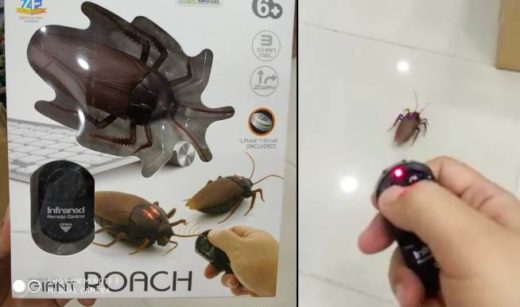 Ada mainan kecoak remote control dijual online, mirip aslinya tapi lebih gede