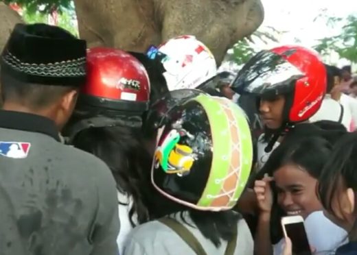 Bikin macet, warga rebutan air ”berkhasiat” yang keluar dari pohon di Baubau Sulawesi Tenggara
