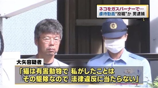 Bakar 13 kucing hidup-hidup pakai obor las, konsultan pajak Jepang ditangkap polisi