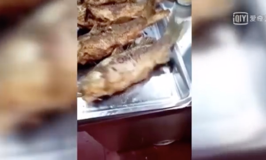 Seekor ikan masih bergerak meski telah digoreng (Video)
