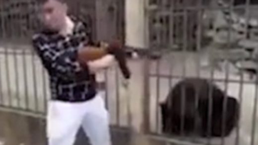 Seorang pria dikecam karena tembak mati beruang langka di dalam kandang