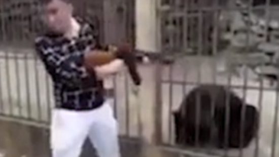 Seorang pria dikecam karena tembak mati beruang langka di dalam kandang