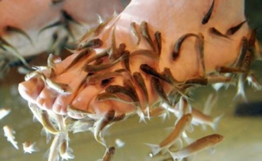 Ikan di fish-spa pada mati, katanya gara-gara kaki bau seorang pria