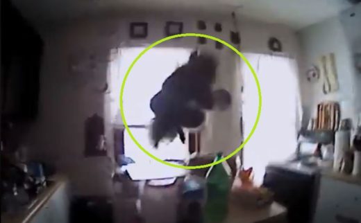 Kocak! Polisi New York yang kaget setengah mati saat diserang tupai (video)