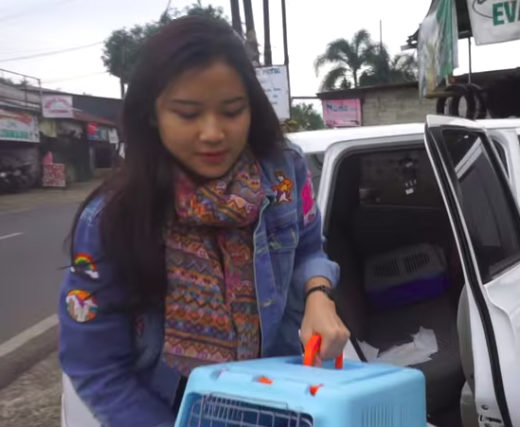 Jatuh cinta sama Danilla Riyadi gara-gara kucing kampung