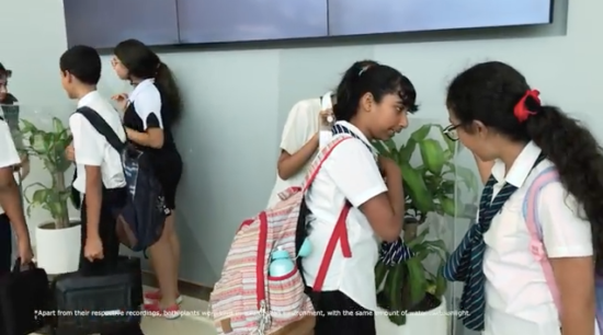 Video: Eksperimen bullying verbal pada tanaman, lemas setelah 30 hari