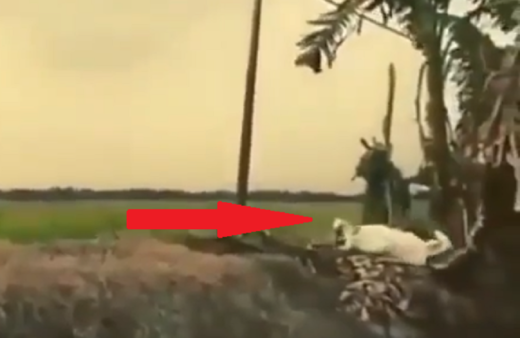 Ada pocong kepeleset dan kecebur kali, videonya viral