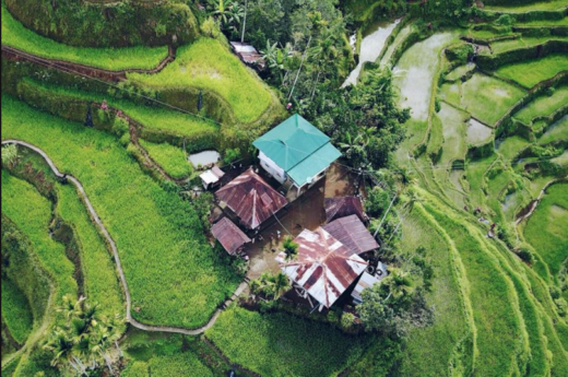 Sawah dalam film ‘Avengers: Infinity War’ ternyata bukan di Indonesia (Spoiler alert!)