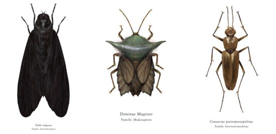 Keren! Seorang ilustrator “ciptakan” serangga dari karakter Star Wars