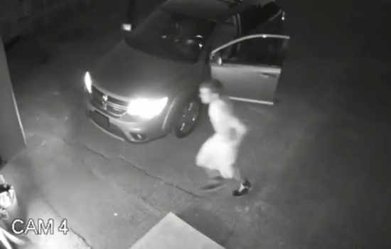 Video: Pencuri panik digonggongin, bawa kotoran anjing