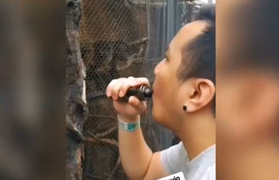 Viral pengunjung semburkan asap vape ke kera di Batu Secret Zoo, pelakunya minta maaf