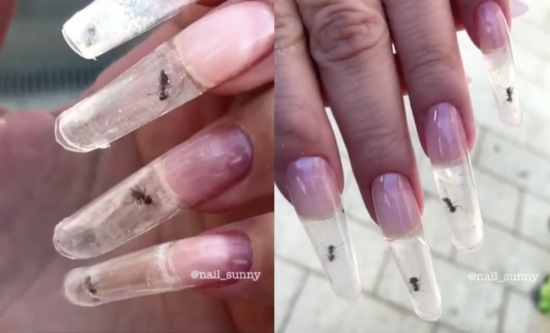 Nail art terbaru: Kuku diisi dengan semut, mau coba?