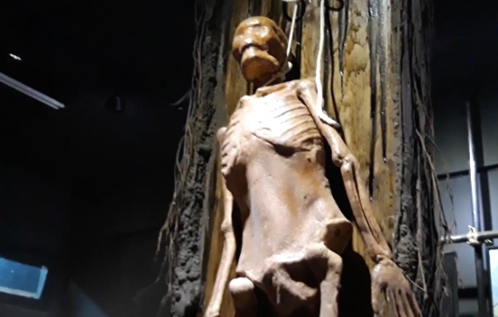 Ada Museum Kematian di Surabaya, berani berkunjung?