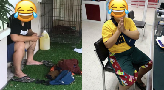 Wanita nekat panjat pagar orang untuk charge HP