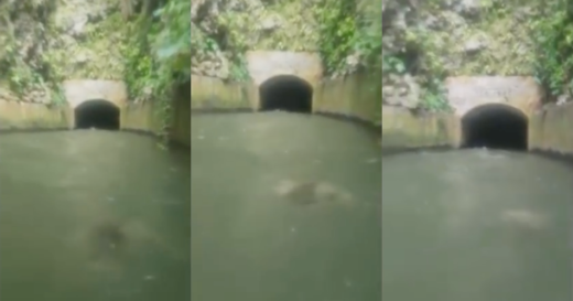 Sosok misterius di bawah air nongol dalam video amatir