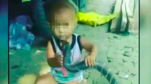Balita Indonesia mainan ular kobra malah direkam video