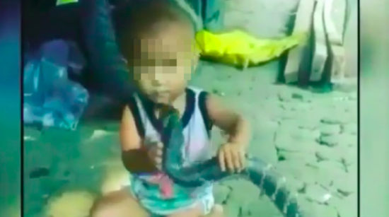 Balita Indonesia mainan ular kobra malah direkam video
