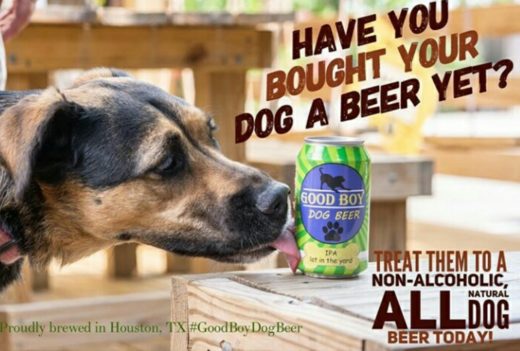 Ada bir khusus anjing buat minum bareng sahabat berbulu