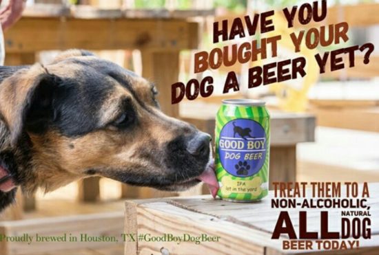 Ada bir khusus anjing buat minum bareng sahabat berbulu