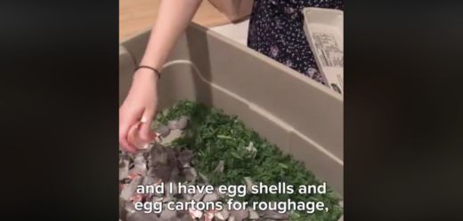 Gaya hidup “ekstrim” bebas sampah selama 30 hari, berani coba?