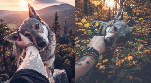 #FollowMeTo level berikutnya: Pose keren bareng hewan peliharaan