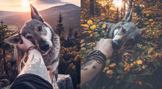 #FollowMeTo level berikutnya: Pose keren bareng hewan peliharaan