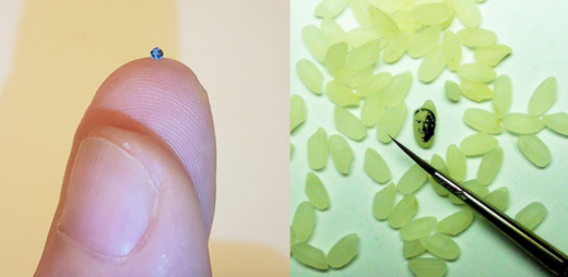 Bahan-bahan berukuran mikro jadi karya seni di tangan seniman ini