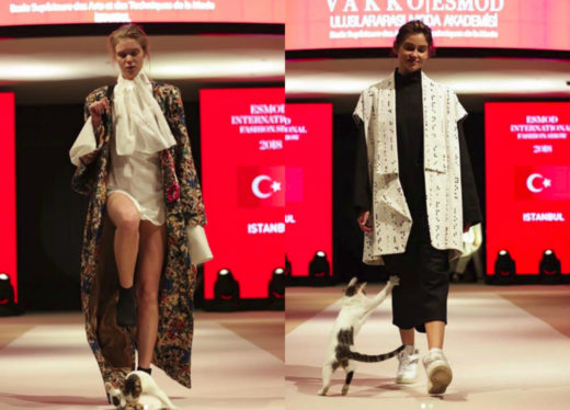 Cat Moss! Kucing nyasar ke fashion show, kelakuannya bikin ketawa