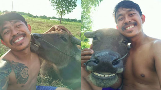 Petani selfie bareng kerbau kesayangan, foto-fotonya bakal indahkan harimu