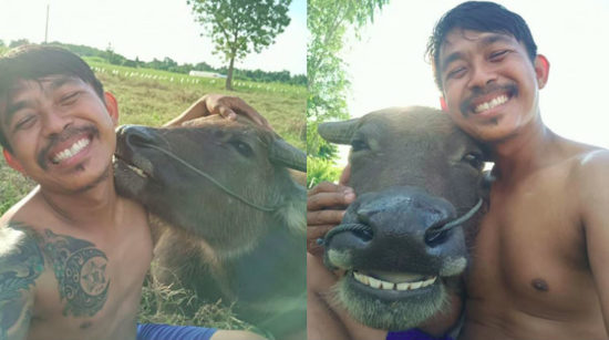 Petani selfie bareng kerbau kesayangan, foto-fotonya bakal indahkan harimu